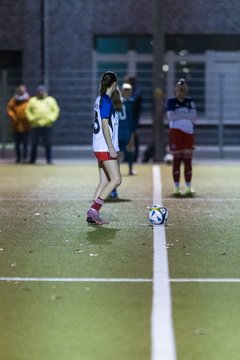 Bild 312 - F SC Alstertal-Langenhorn - Hamburger SV 3 : Ergebnis: 2:2